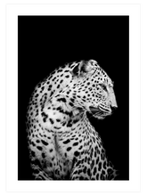 Black & White Touch Poster Seti